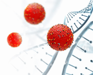 المدونة 25 الخلايا الجذعية للبشرة الدهنية