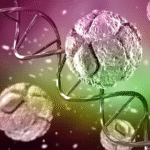 ما هي الخلايا الجذعية