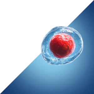 الخلايا الجذعية للبشرة الدهنية