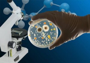 المدونة 27 الخلايا الجذعية لمشاكل البشرة